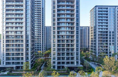 樓上裝修滲水 噪音不斷 業(yè)主該如何維護(hù)自身權(quán)益 民法典為您解答