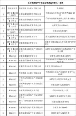 合肥市房地產開發企業資質基本情況一覽表(20150512)